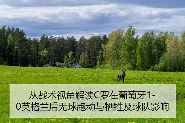 cong-zhan-shu-shi-jiao-jie-du-luo-zai-pu-tao-ya-ying-ge-lan-hou-wu-qiu-pao-dong-yu-xi-sheng-ji-qiu-dui-ying-xiang-2-947.jpg