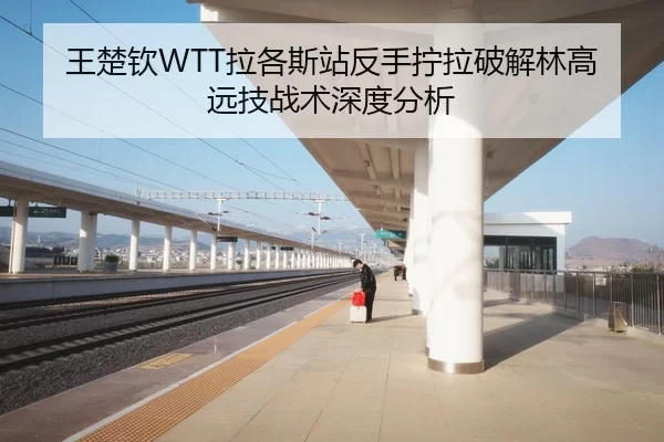 王楚钦WTT拉各斯站反手拧拉破解林高远技战术深度分析
