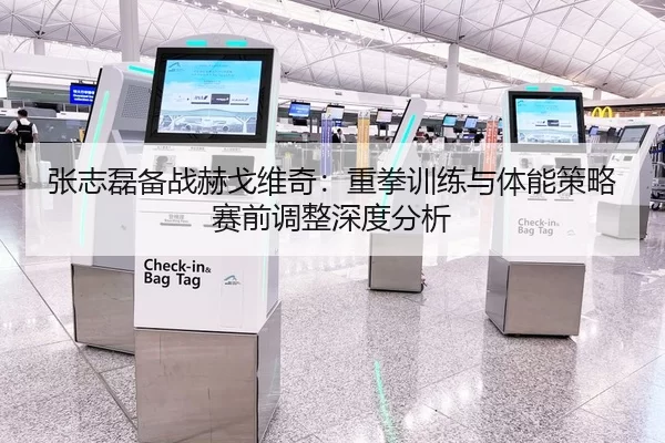 张志磊备战赫戈维奇：重拳训练与体能策略赛前调整深度分析