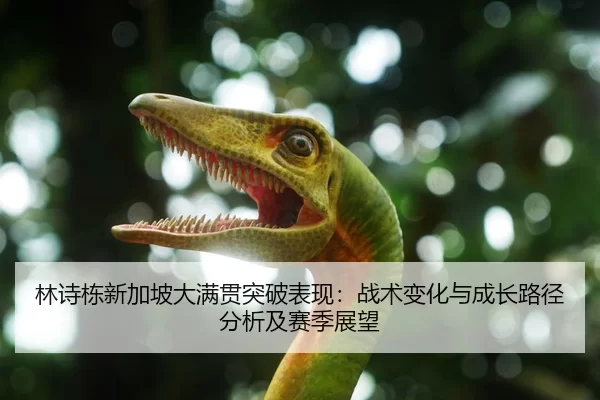 林诗栋新加坡大满贯突破表现：战术变化与成长路径分析及赛季展望