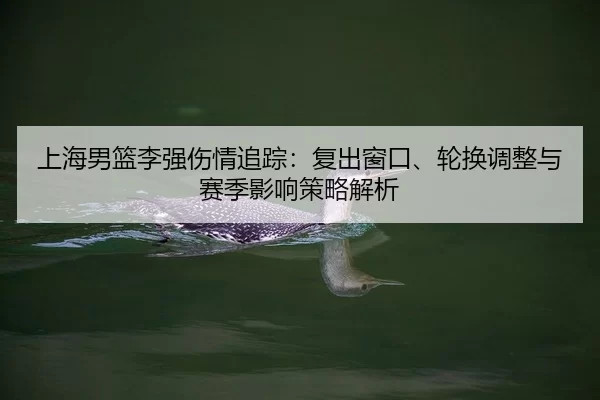 shang-hai-nan-lan-li-qiang-shang-qing-zhui-zong-fu-chu-chuang-kou-lun-huan-tiao-zheng-yu-sai-ji-ying-xiang-ce-lve-jie-xi-2-331.jpg