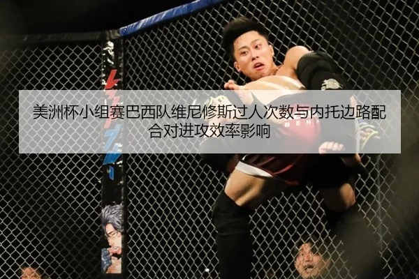 美洲杯小组赛巴西队维尼修斯过人次数与内托边路配合对进攻效率影响